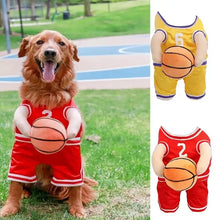 Dog modelling basketball player costume outdoors