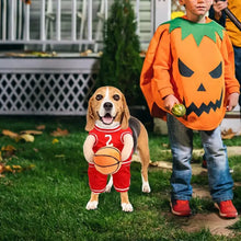Dog wearing basketball costume beside Halloween pumpkin costume