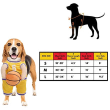 Basketball dog costume size and measurement guide