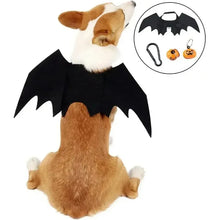Bat Wings Pet Costume for Halloween, product photo 3 of 6