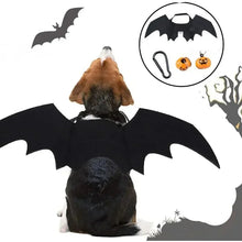 Bat Wings Pet Costume for Halloween, product photo 4 of 6