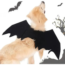 Bat Wings Pet Costume for Halloween, product photo 5 of 6