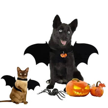 Bat Wings Pet Costume for Halloween, product photo 6 of 6
