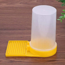 Alternate view of the Bee Feeder Drinking Water Box