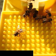 Bee Feeder Drinking Water Box, product photo 5 of 12