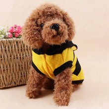 Small dog wearing bee-inspired Halloween costume