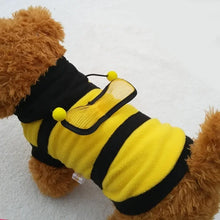 Dog wearing black and yellow bee costume outdoors