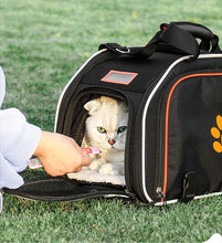 Bicycle Pet Saddle Bag, product photo 5 of 7