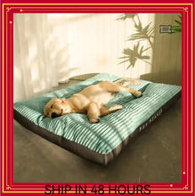 Alternate view of the Big Dog Mat Corduroy Pad for Pets