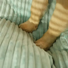 Big Mat Corduroy Pad for Dogs, product photo 5 of 10