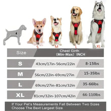 Big Vests Leash For Pets, product photo 10 of 10