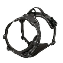 Big Vests Leash For Pets in Black