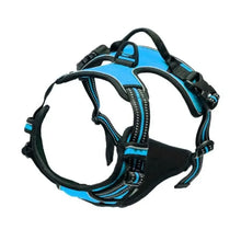 Big Vests Leash For Pets in Blue