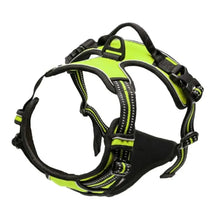 Big Vests Leash For Pets in Green