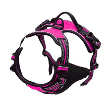 Big Vests Leash For Pets in Rose Red
