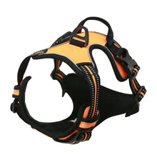 Big Vests Leash For Pets in Yellow
