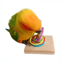 Alternate view of the Bird Training Ring Toy
