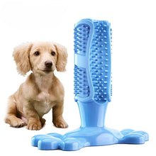 Bite Resistant Dog Toothbrush Chew Toy in Dark Blue