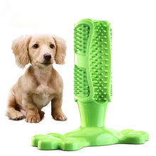 Bite Resistant Dog Toothbrush Chew Toy in Green
