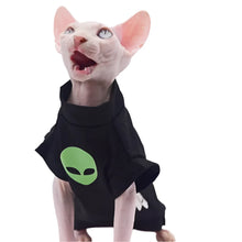 Alternate view of the Black Cotton Coat for Sphynx