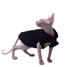 Black Cotton Coat for Sphynx, product photo 3 of 5