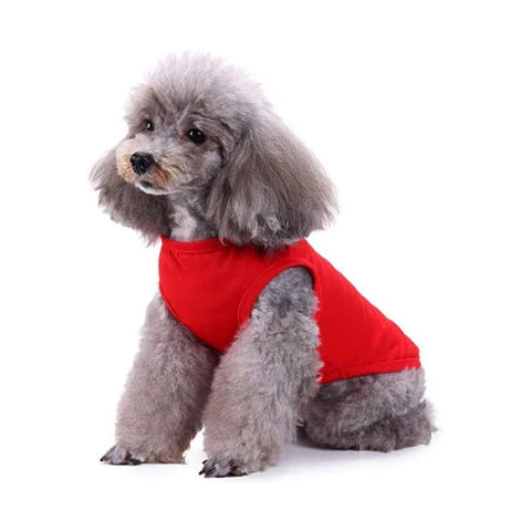 Small dog wearing a red plain cotton dog vest shirt