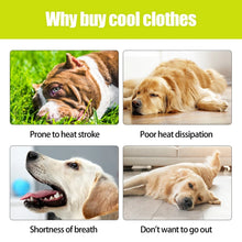 Breathable Dog Cooling Vest, product photo 4 of 8