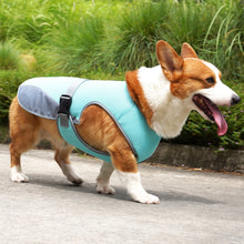 Breathable Dog Cooling Vest, product photo 6 of 8