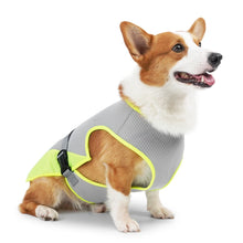 Breathable Dog Cooling Vest in Green