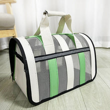Breathable Outing Bag For Pets in Grass Green