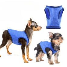 Breathable Summer Cooling Pet Vest, product photo 3 of 7
