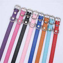 Buckle and Chain Dog Collar, product photo 11 of 11