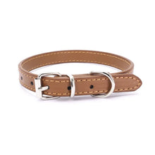 Alternate view of the Buckle and Chain Dog Collar