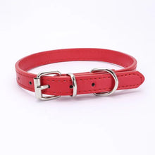Buckle and Chain Dog Collar, product photo 5 of 11