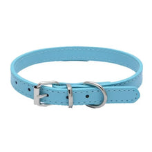 Buckle and Chain Dog Collar in Blue