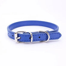 Buckle and Chain Dog Collar in Dark Blue
