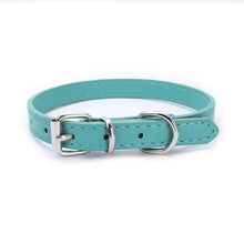 Buckle and Chain Dog Collar in Green