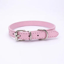 Buckle and Chain Dog Collar in Pink