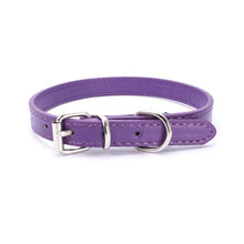 Buckle and Chain Dog Collar in Purple