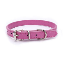 Buckle and Chain Dog Collar in Rose Red