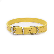 Buckle and Chain Dog Collar in Yellow