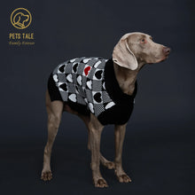 dog wearing a black sweater