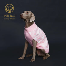 dog wearing a pink sweater