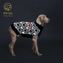 dog wearing a black sweater side view