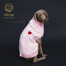a dog sitting wearing a pink sweater back view