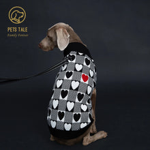 dog sitting wearing a black sweater back view