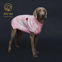 a dog sitting wearing a pink sweater side view