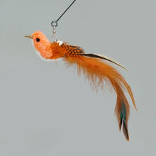 Butterfly Inspired Cat Interactive Toys, product photo 17 of 40
