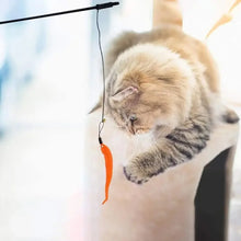 Butterfly Inspired Cat Interactive Toys, product photo 5 of 40