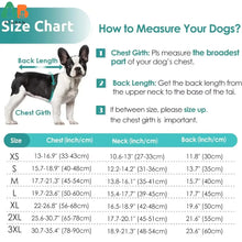 Calming Jacket with Hoodie for Dogs, product photo 3 of 8